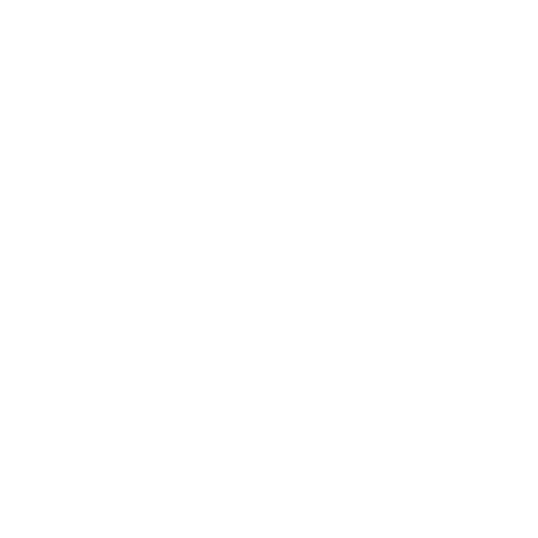 Logo blanc sans baseline
